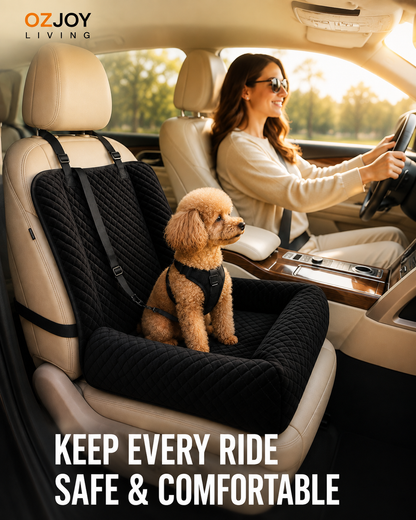 Small dog riding in an OZJOY black pet car booster seat in a car