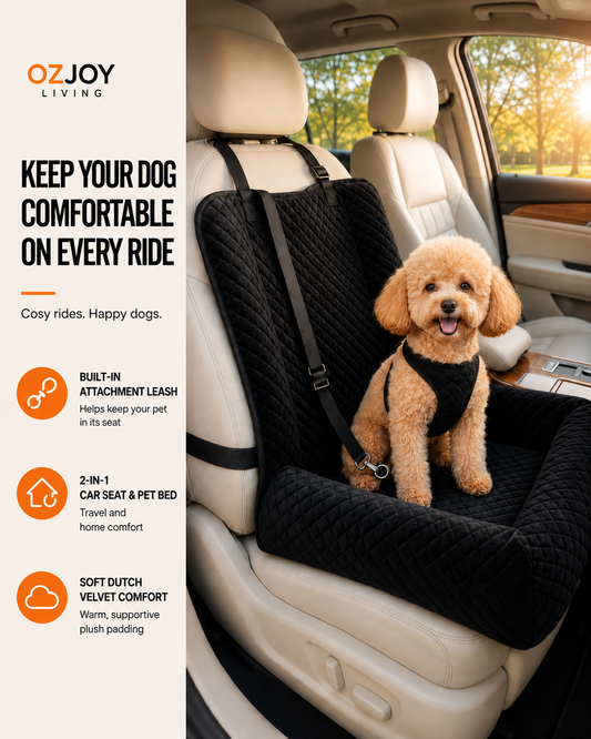 2-in-1 Dog Car Booster Seat