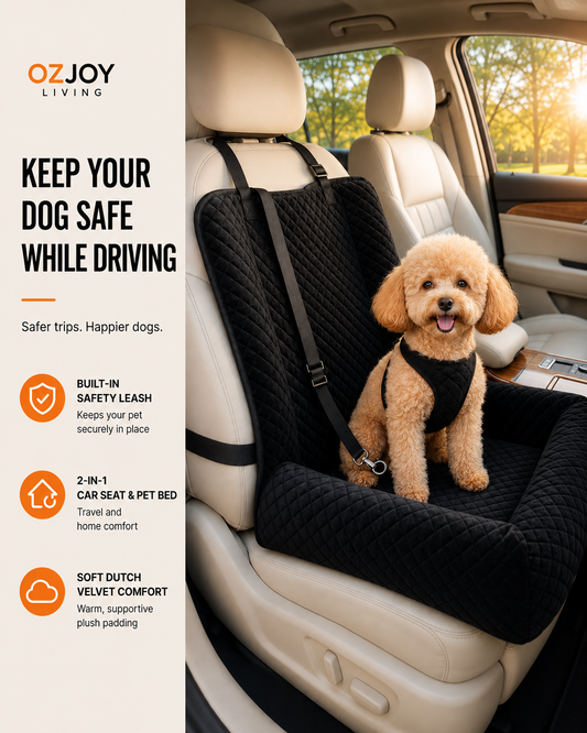 Small dog sitting in OZJOY black pet car booster seat with built-in safety leash
